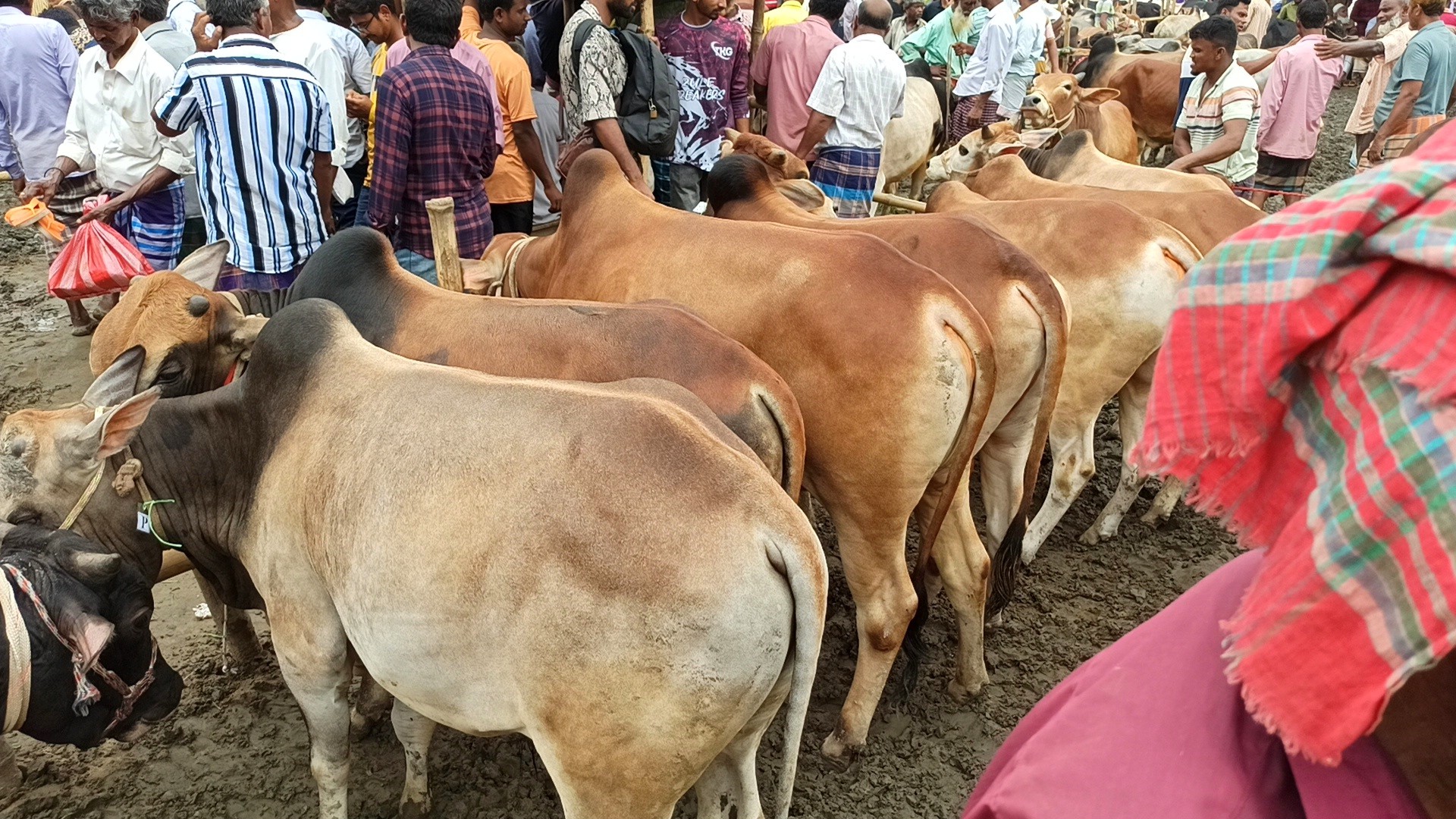 thumbnail_IMG_20250525_205603