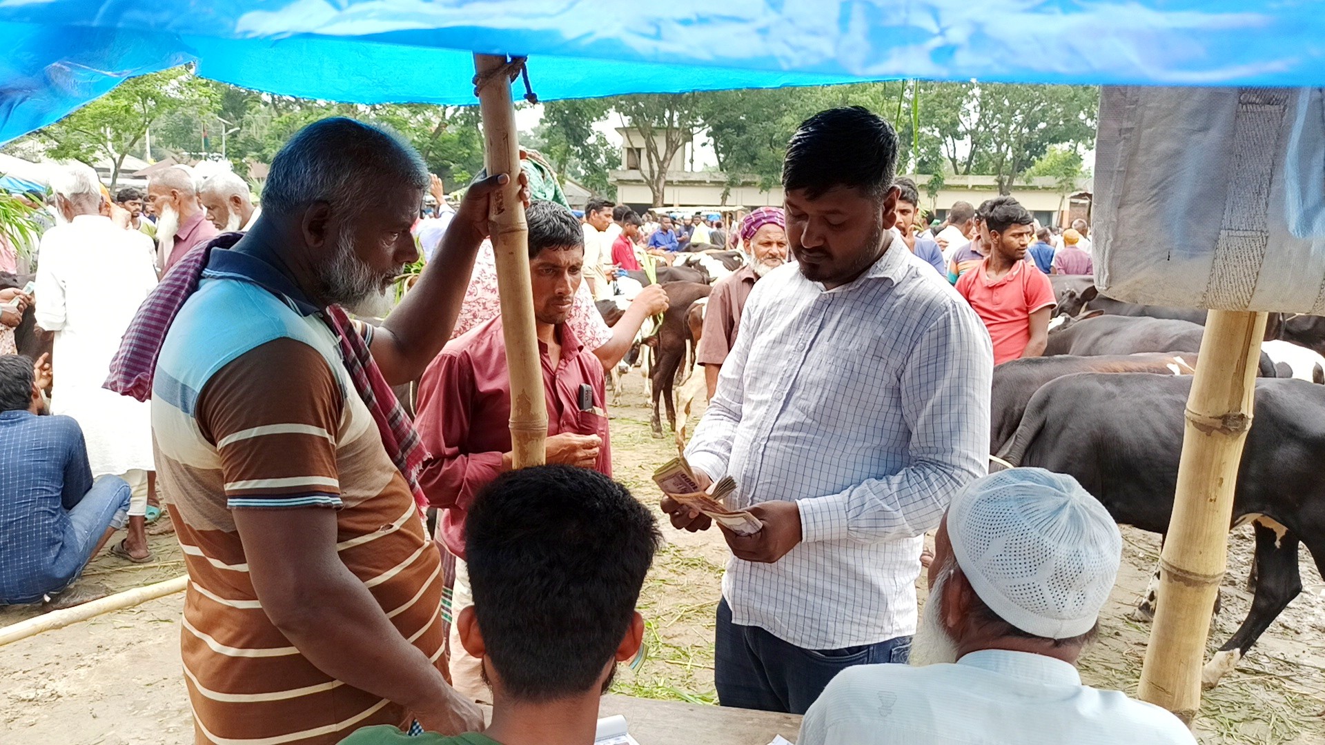 thumbnail_IMG_20250525_205625