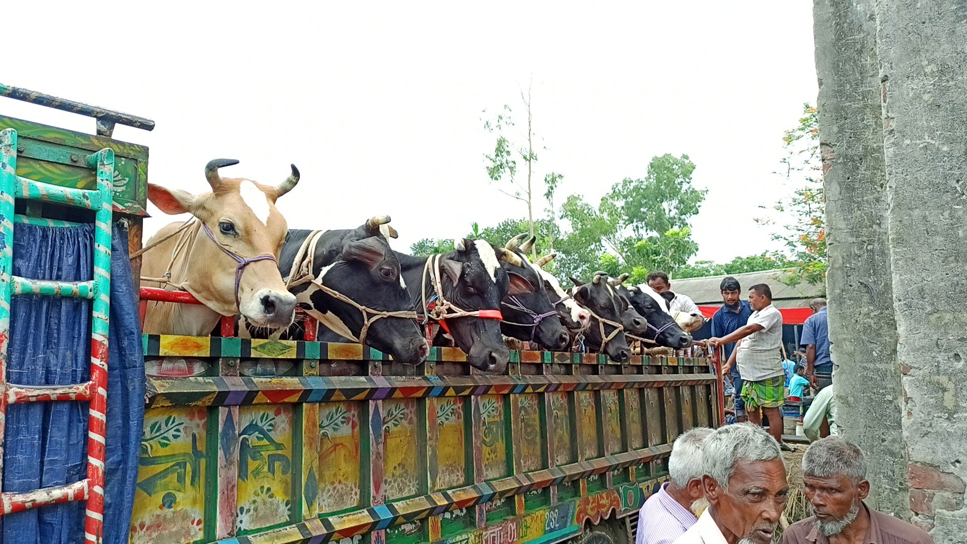 thumbnail_IMG_20250525_205636