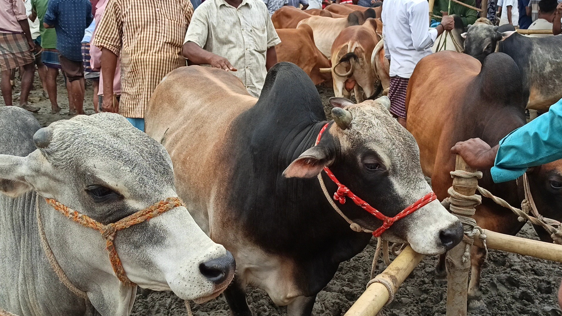 thumbnail_IMG_20250525_205724