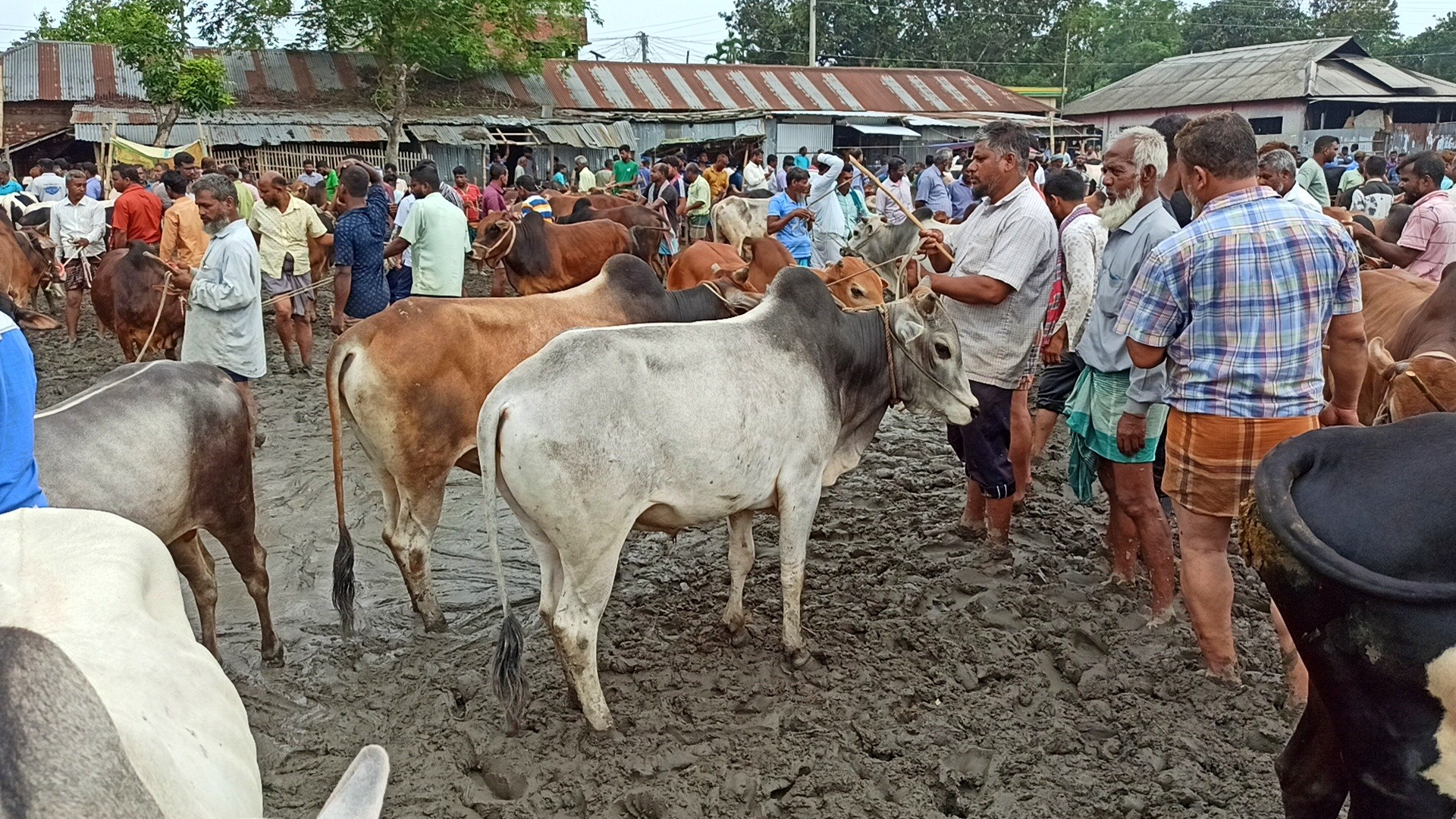 thumbnail_IMG_20250525_205742