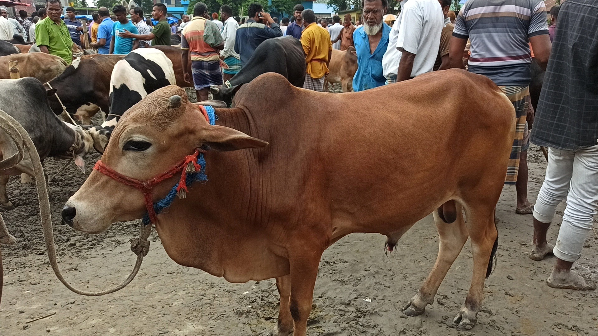 thumbnail_IMG_20250525_205754