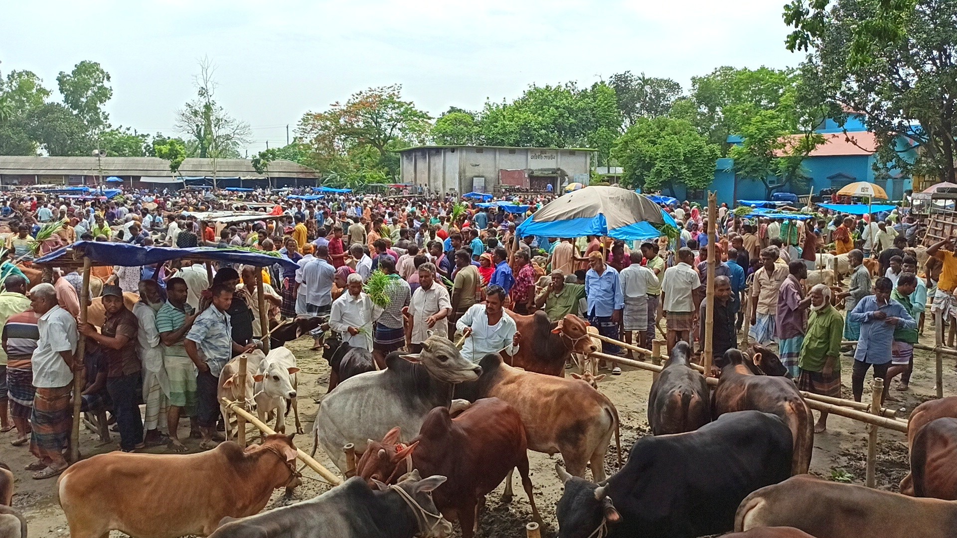 thumbnail_IMG_20250525_205830