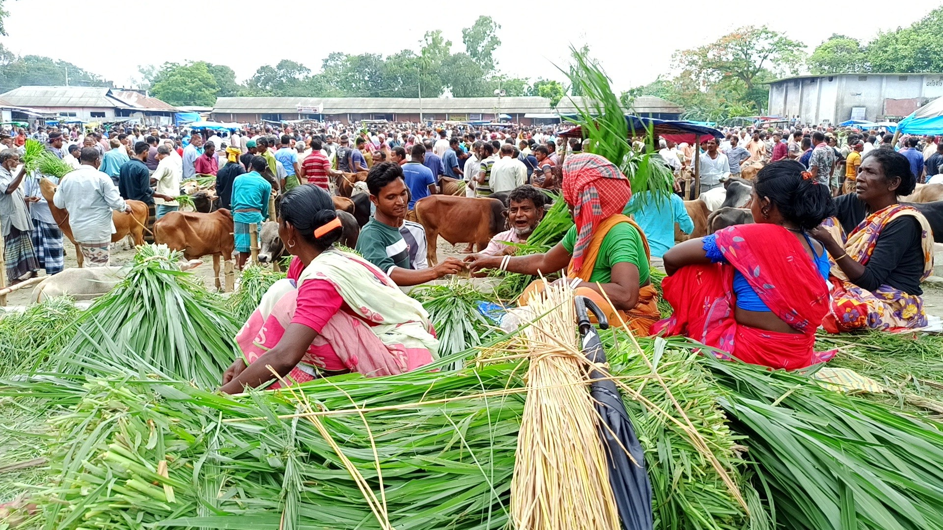 thumbnail_IMG_20250525_205845