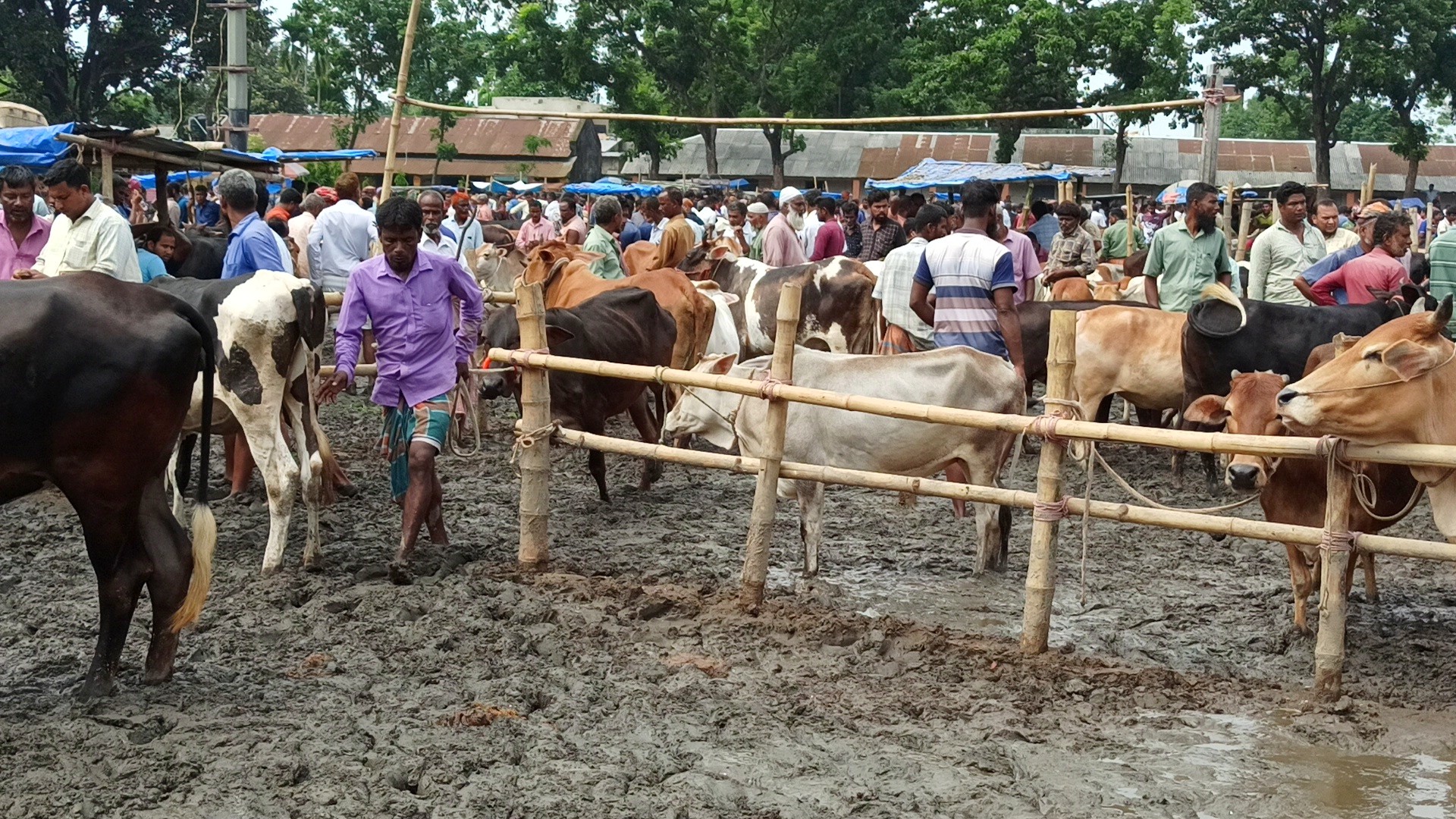 thumbnail_IMG_20250525_205916