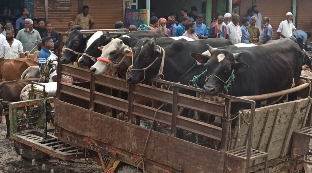 thumbnail_IMG_20250525_210230