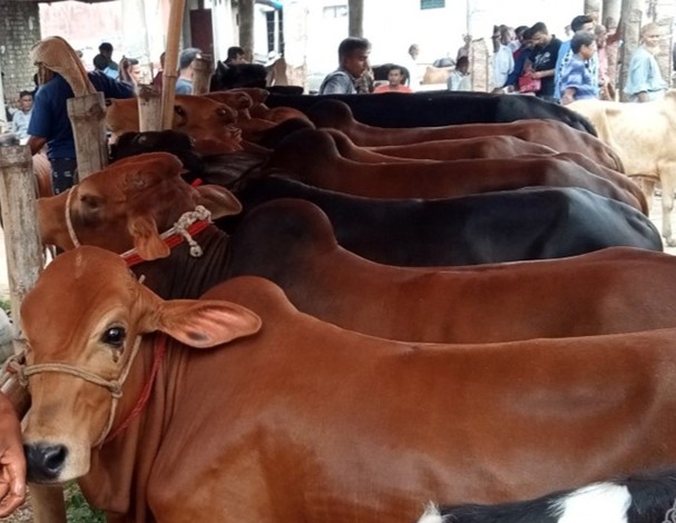 thumbnail_IMG_20250526_112440