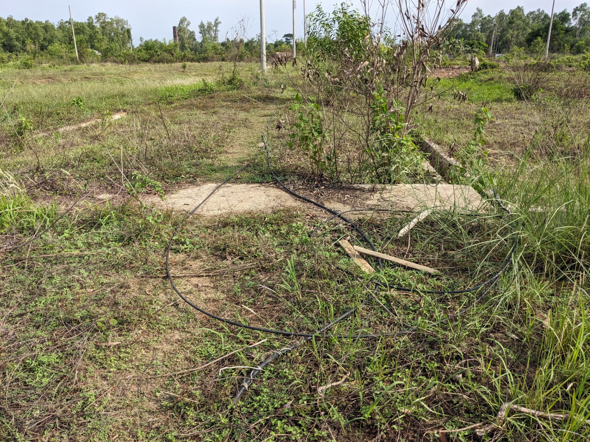 thumbnail_Mirsarai_Photo_(1)