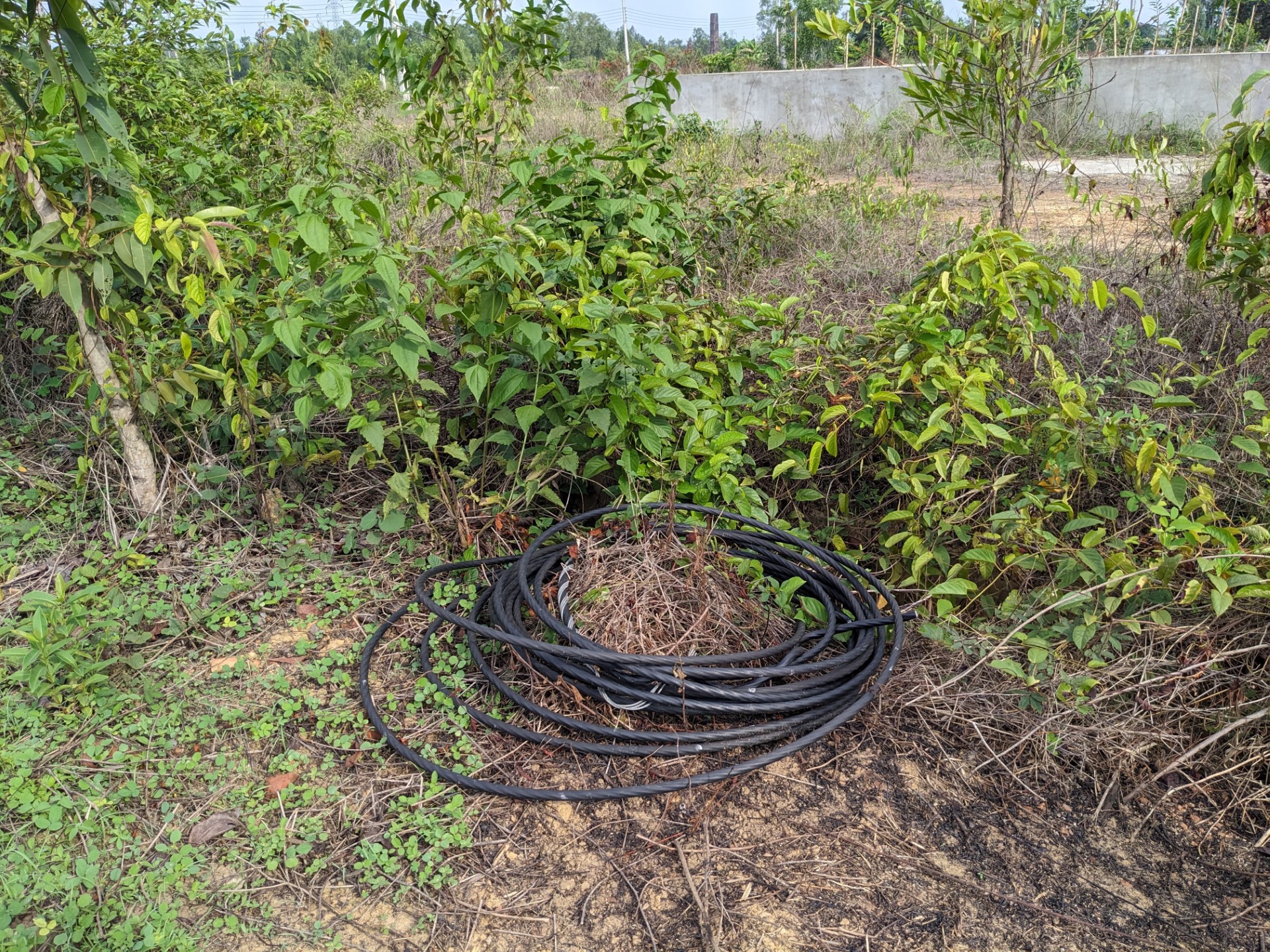 thumbnail_Mirsarai_Photo_(6)