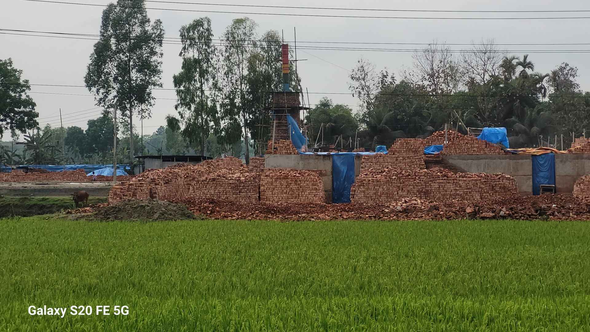 ঢাক ঢোল বাজিয়ে অভিযান, দু’দিন পর ফের চালু অবৈধ ইটভাটা