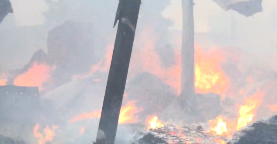 thumbnail_Screenshot_20250503_151036_Gallery