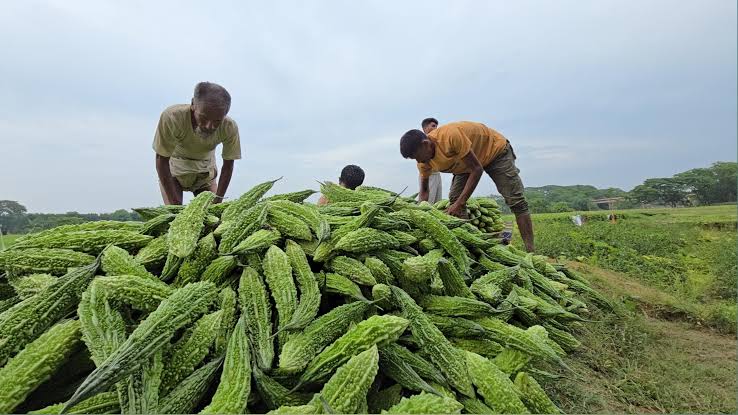 thumbnail_images_(52)