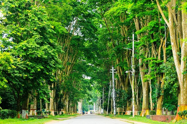 thumbnail_paris-road-ru-20221016103156