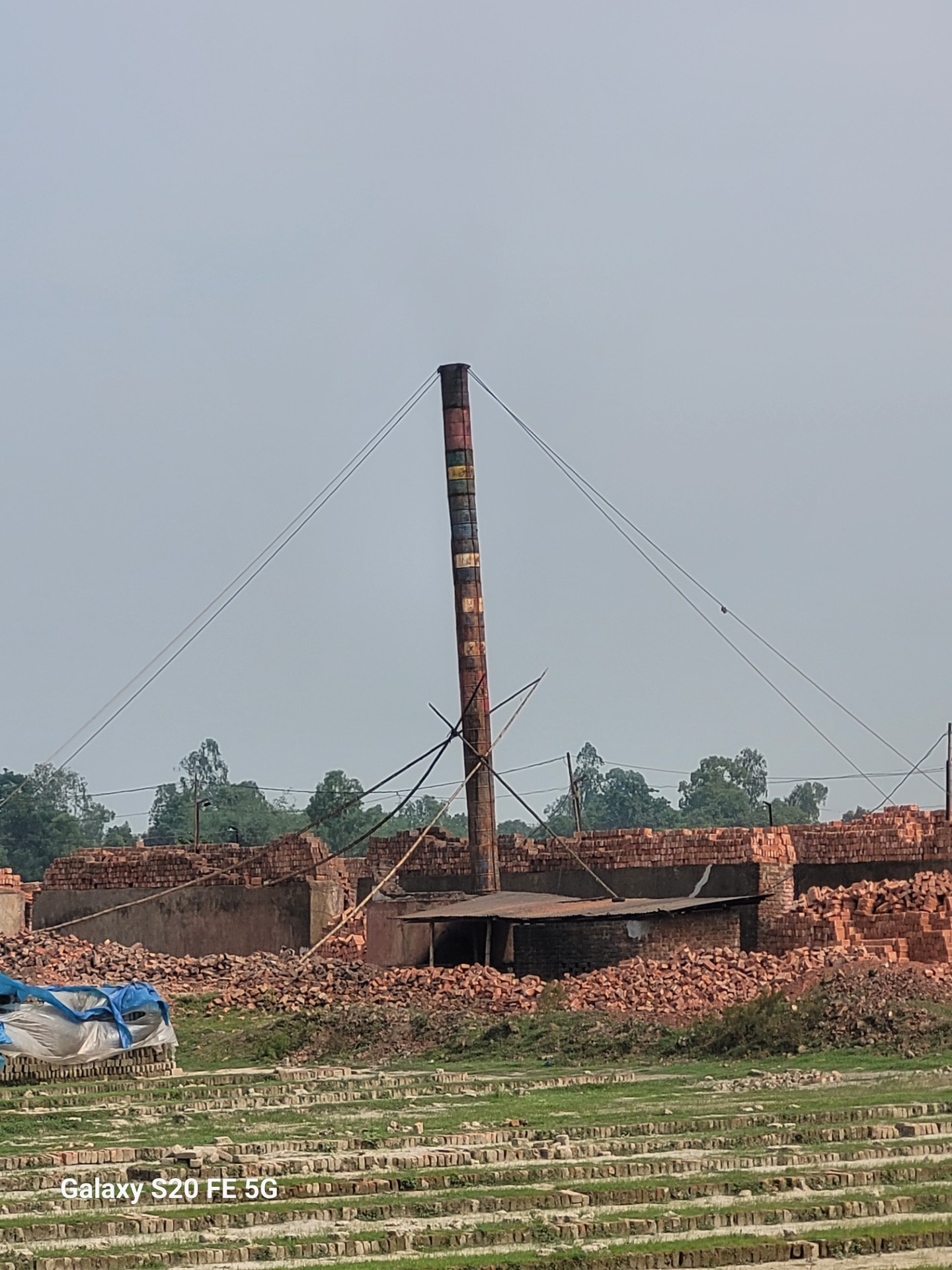 thumbnail_pic-2-_Srrebordii_