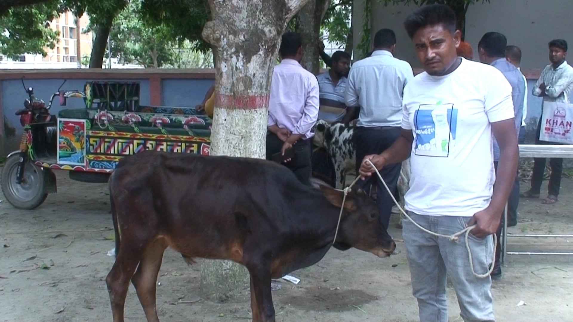 গাইবান্ধায় ছড়িয়ে পড়ছে লাম্পি ভাইরাস, উদ্বিগ্ন কৃষক