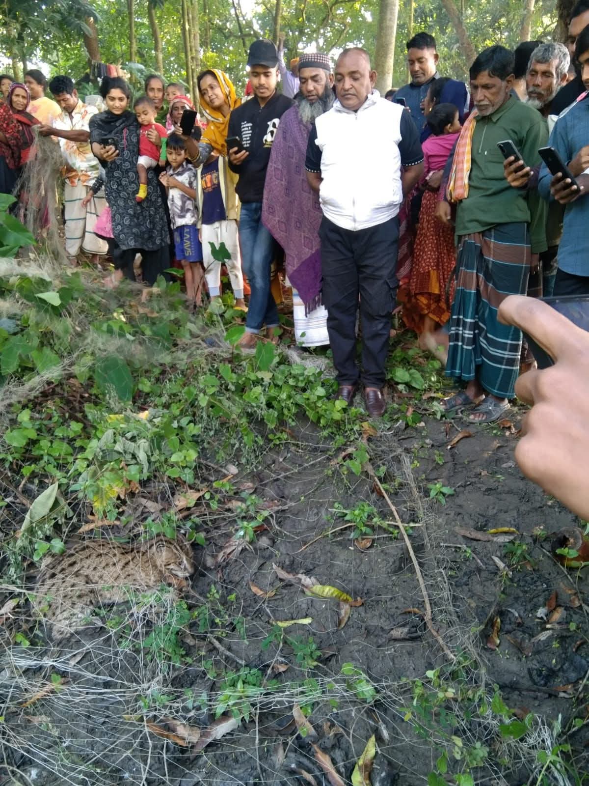 FB_IMG_1764415501754