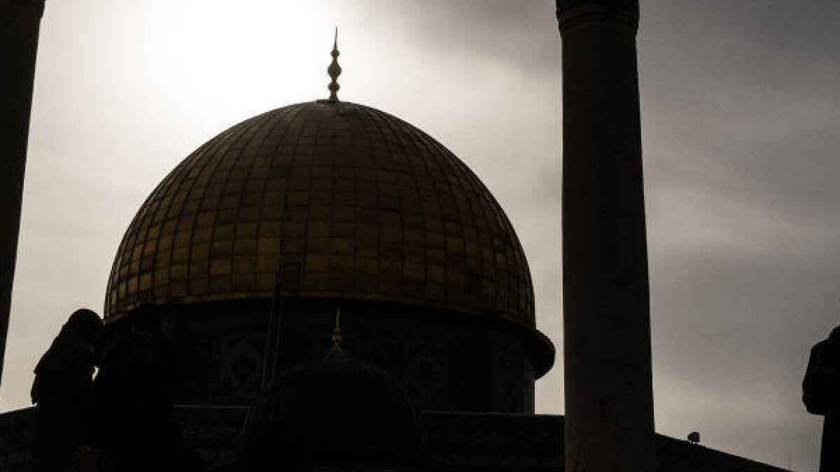 সন্ত্রাসীরা মুসলিম নয়, ইসলামের চূড়ান্ত বিধান