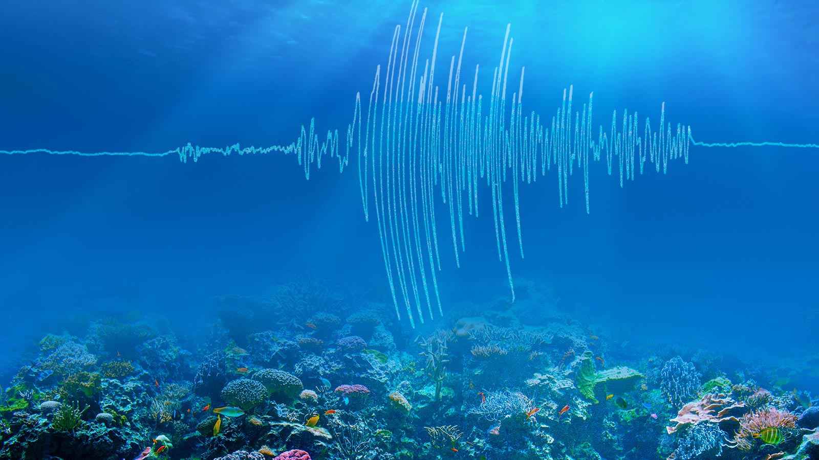 সাগরে ভূমিকম্প হলে কী হয়?