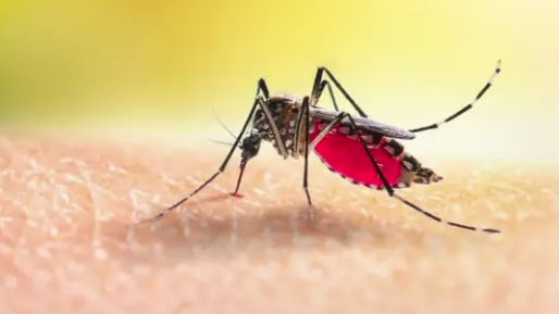 কুমিল্লা মেডিকেল কলেজ হাসপাতালে ডেঙ্গুতে যুবকের মৃত্যু