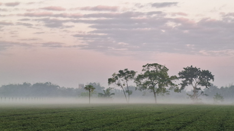 পঞ্চগড়ে বেড়েছে শীত, তাপমাত্রা ১৩ ডিগ্রির ঘরে 