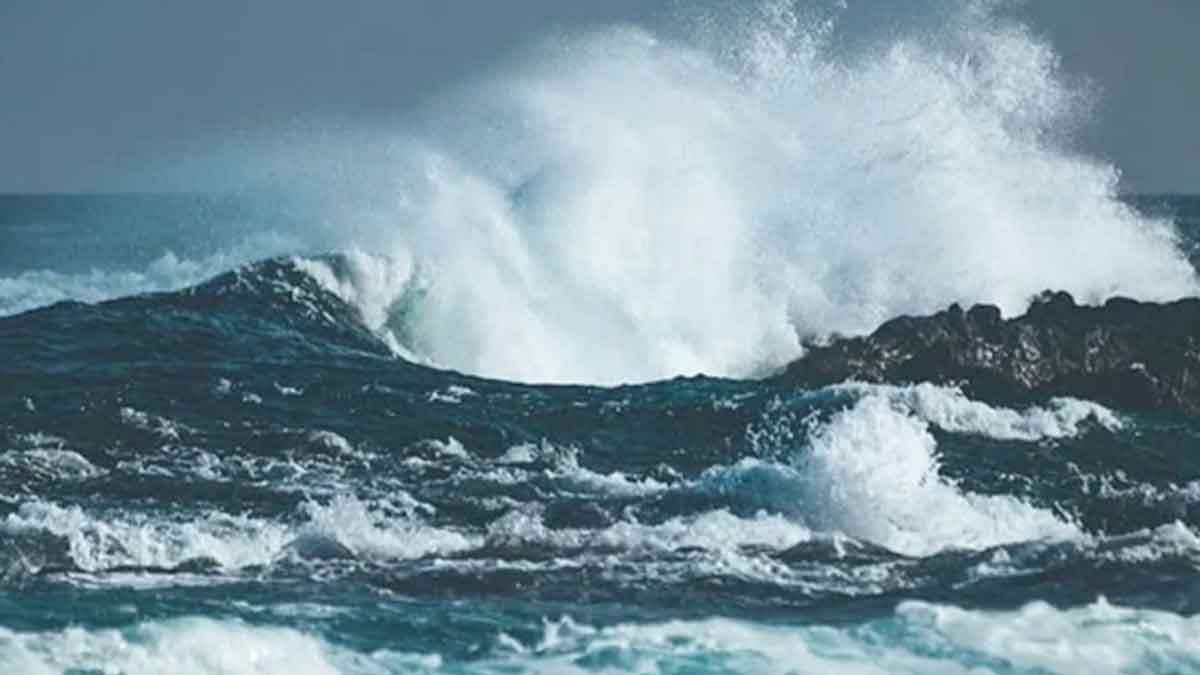 সাগরে নিম্নচাপ সক্রিয়, সামনে শীত ভাব বাড়বে