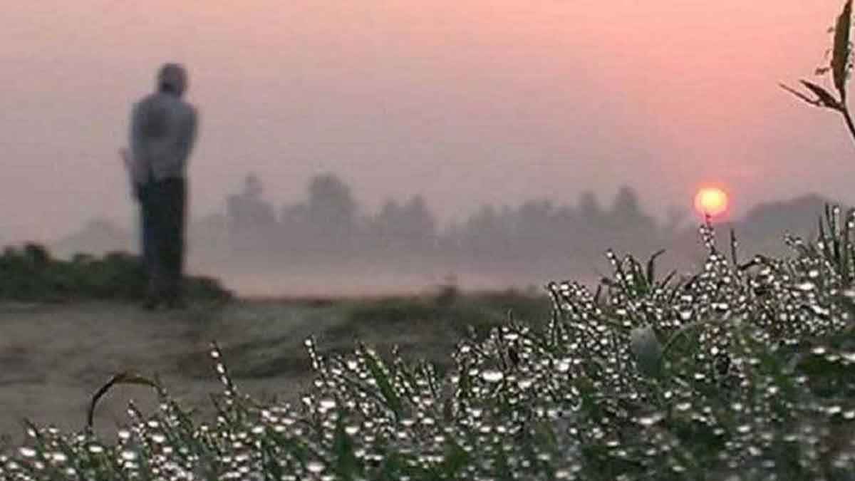 ঘূর্ণিঝড়ের প্রভাবহীন বাংলাদেশ, রাতে বাড়তে পারে শীত