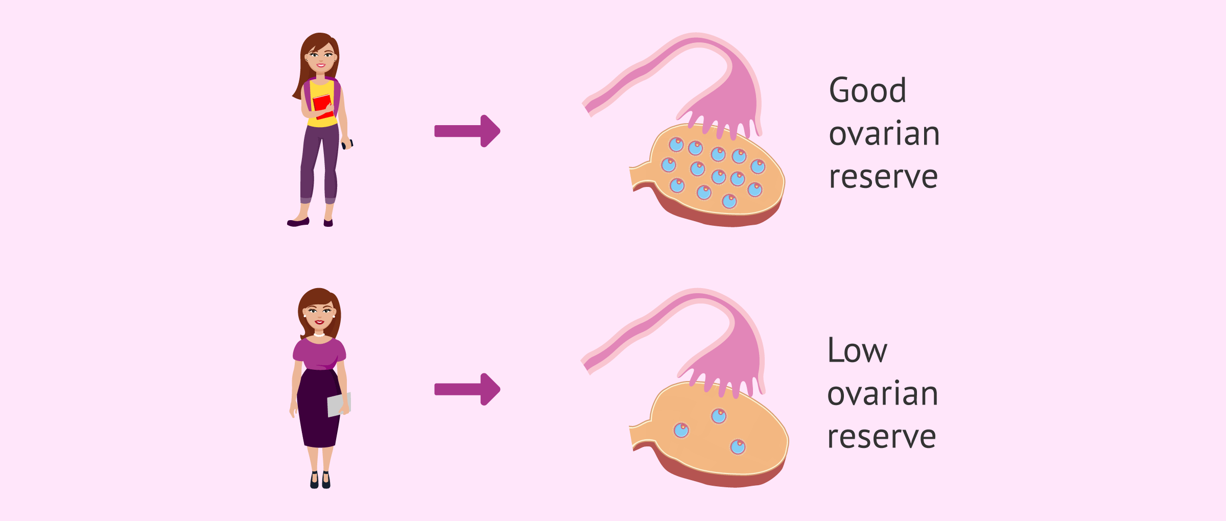 age-antral-follicle-count age-antral-follicle-count