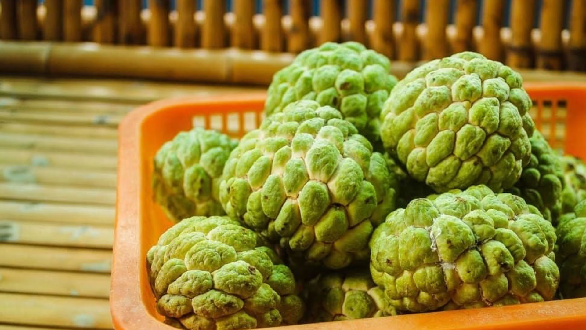ওজন নিয়ন্ত্রণে রাখতে আতা খাবেন যেসব কারণে