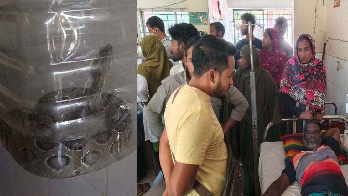 কামড় দেওয়া রাসেল ভাইপারকে ধরে হাসপাতালে কৃষক