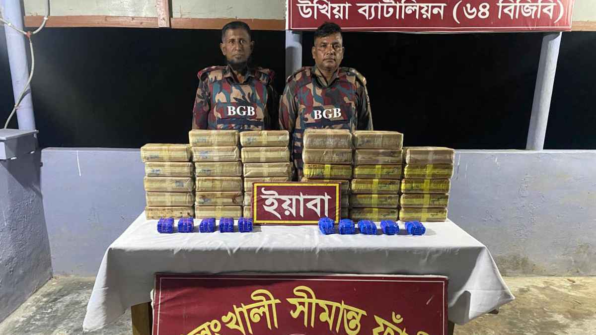 সীমান্তে ৩ লাখ ৬০ হাজার ইয়াবা ফেলে মিয়ানমারে পালাল পাচারকারী