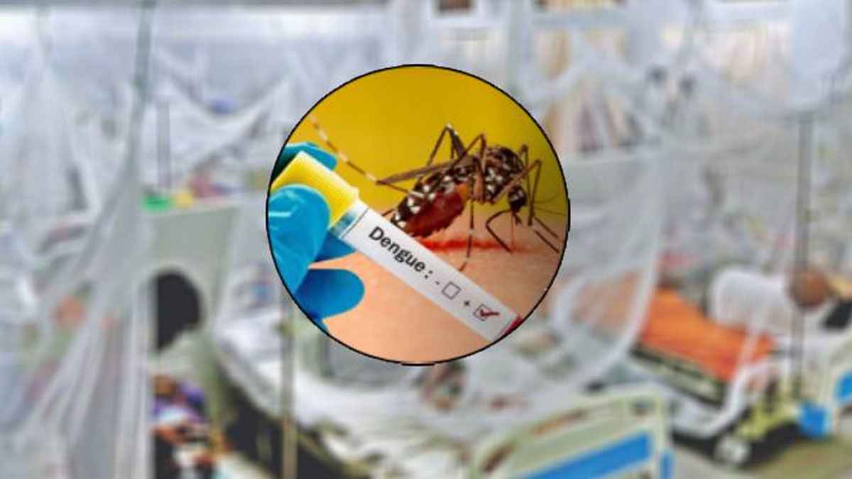 ডেঙ্গুতে প্রাণ গেল আরও ৫ জনের