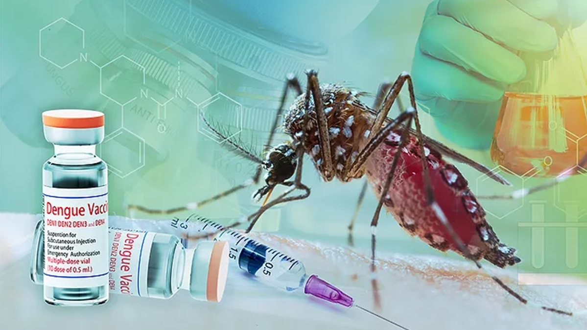 বিশ্বে প্রথম এক ডোজের ‘ডেঙ্গু টিকা’ অনুমোদন দিল ব্রাজিল