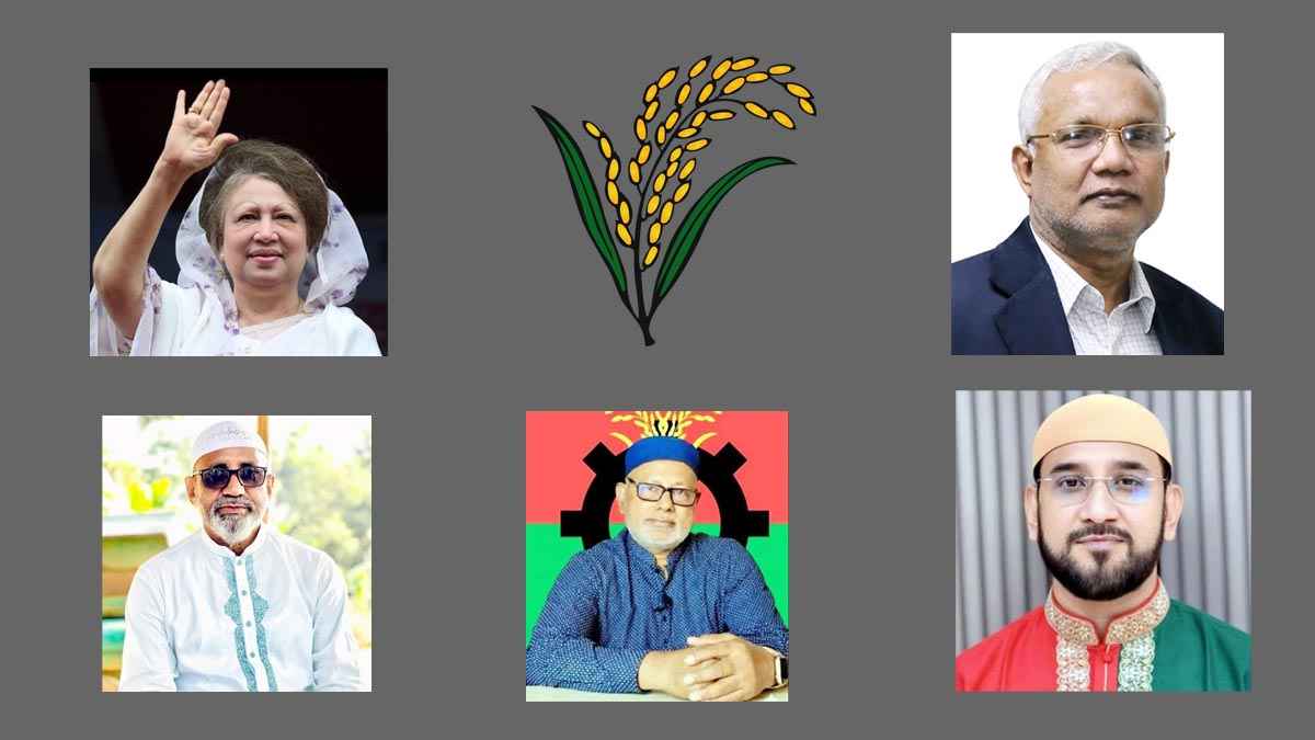 দিনাজপুরের ৫ আসনে বিএনপির প্রার্থী হলেন যারা