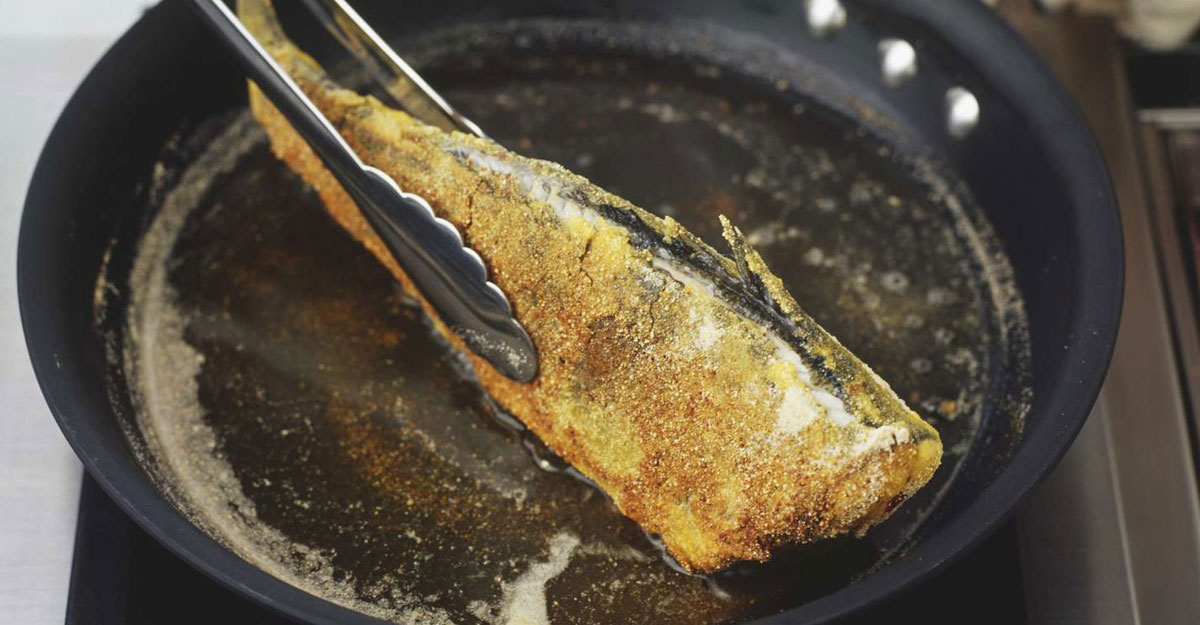 fish_pic