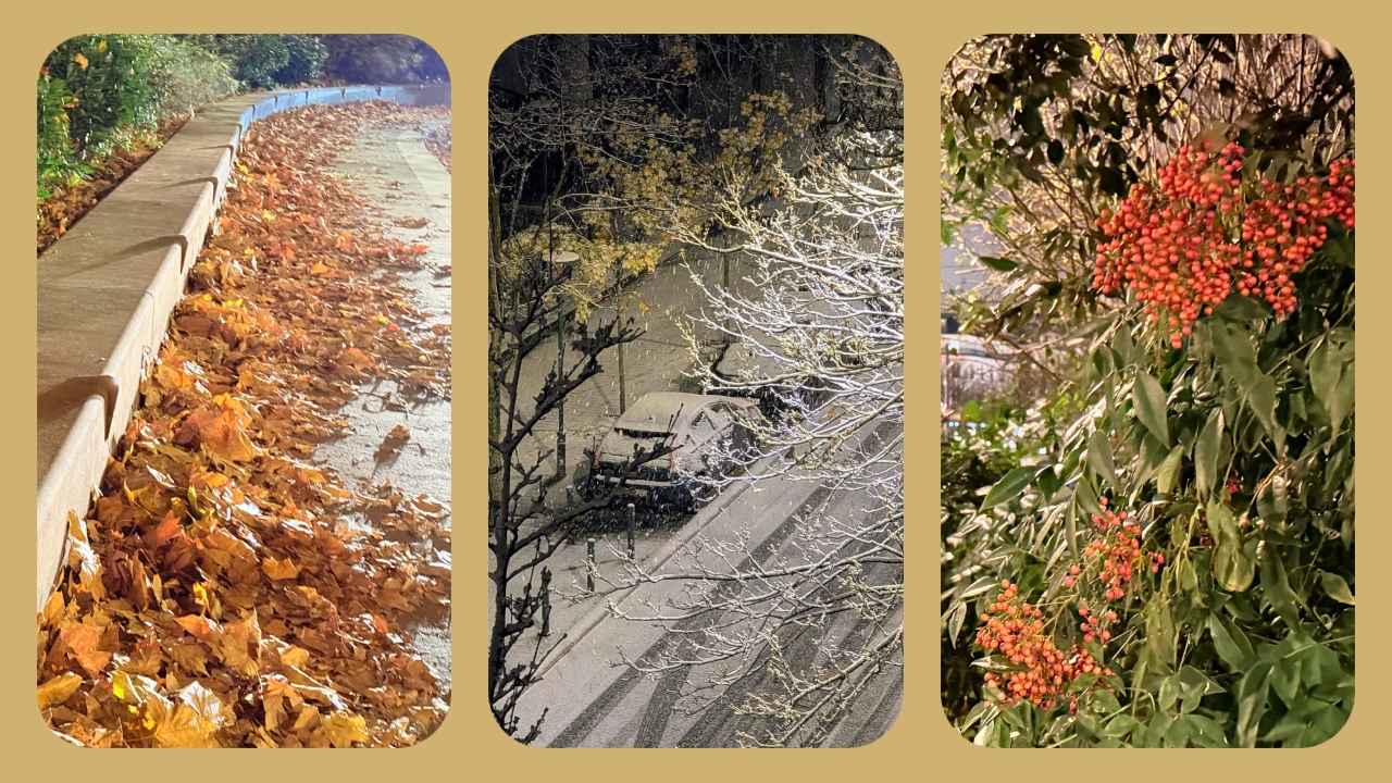 বছরের প্রথম হিমপাত, পারির জমে যাওয়া রাত  