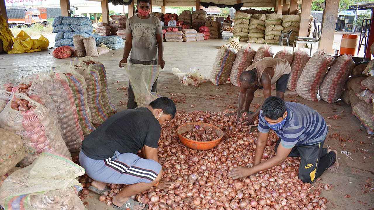 বাংলাদেশ পেঁয়াজ না কেনায় বিপাকে ভারত, কেজি ২ রুপি!