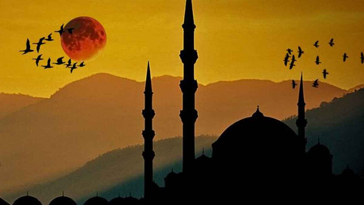 দাউদ (আ.)-এর ইবাদতের সৌন্দর্য