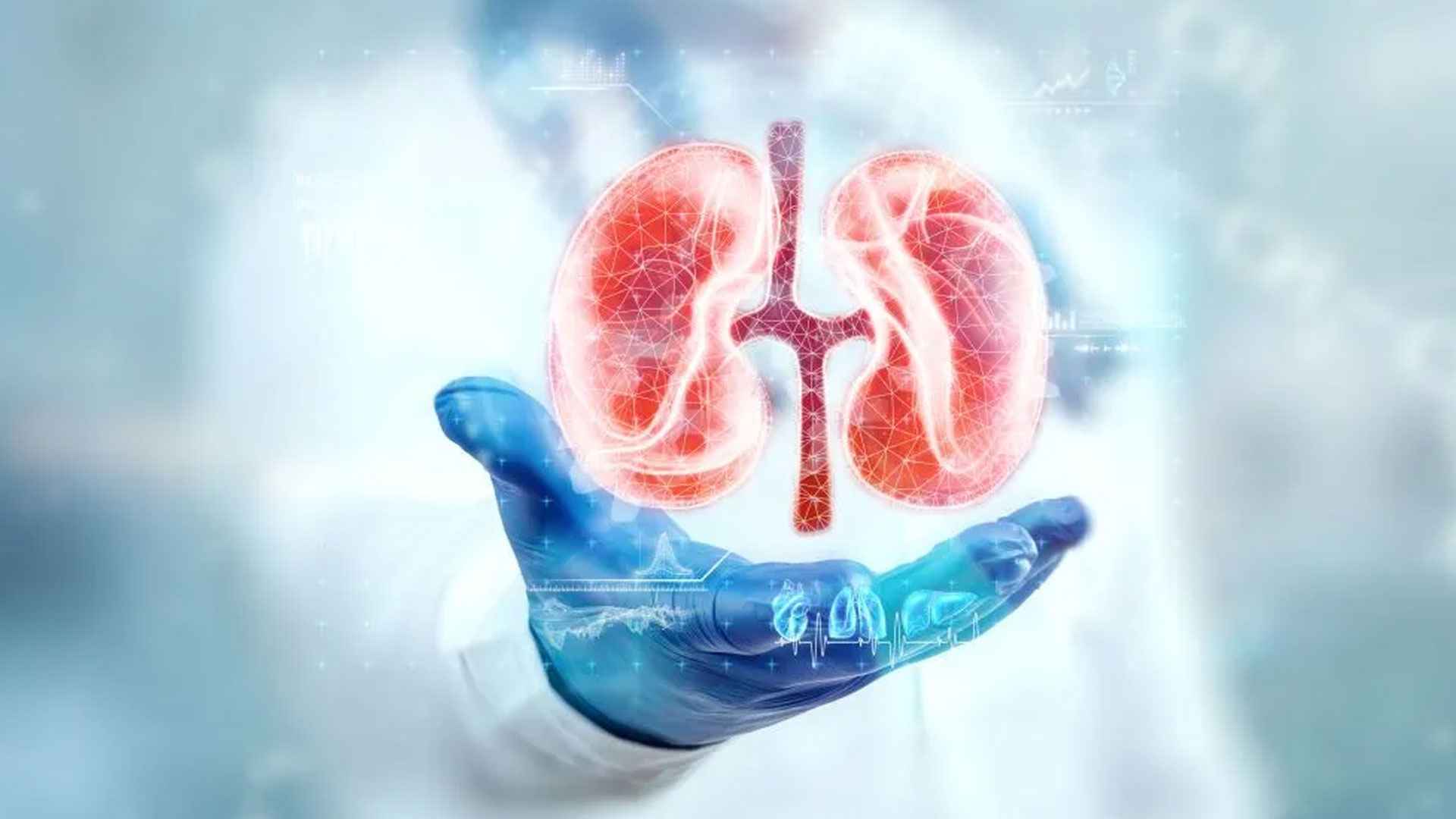 প্রস্রাবে এসব সমস্যা দেখলেই বুঝবেন কিডনি ভালো নেই