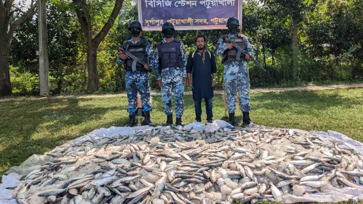 পটুয়াখালীতে ৮২০ কেজি জাটকা জব্দ