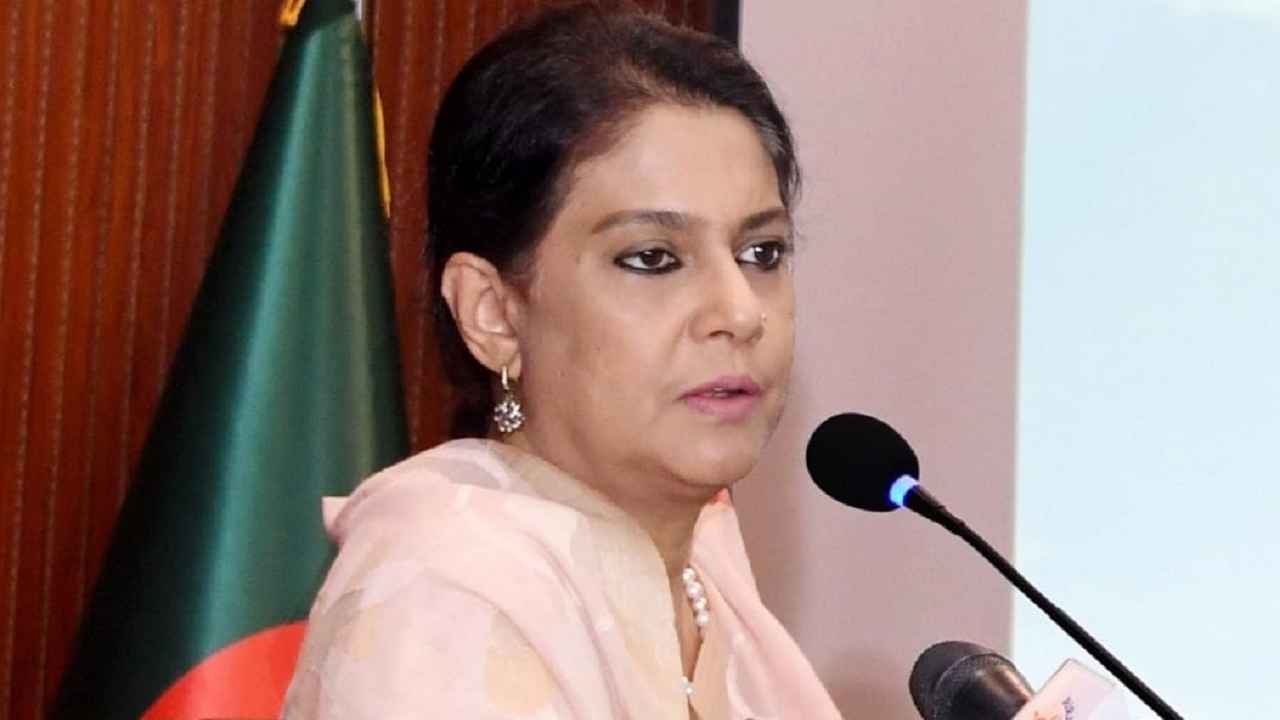 জলবায়ু সংকটে আঞ্চলিক সংযোগ জোরদারের আহ্বান পরিবেশ উপদেষ্টার