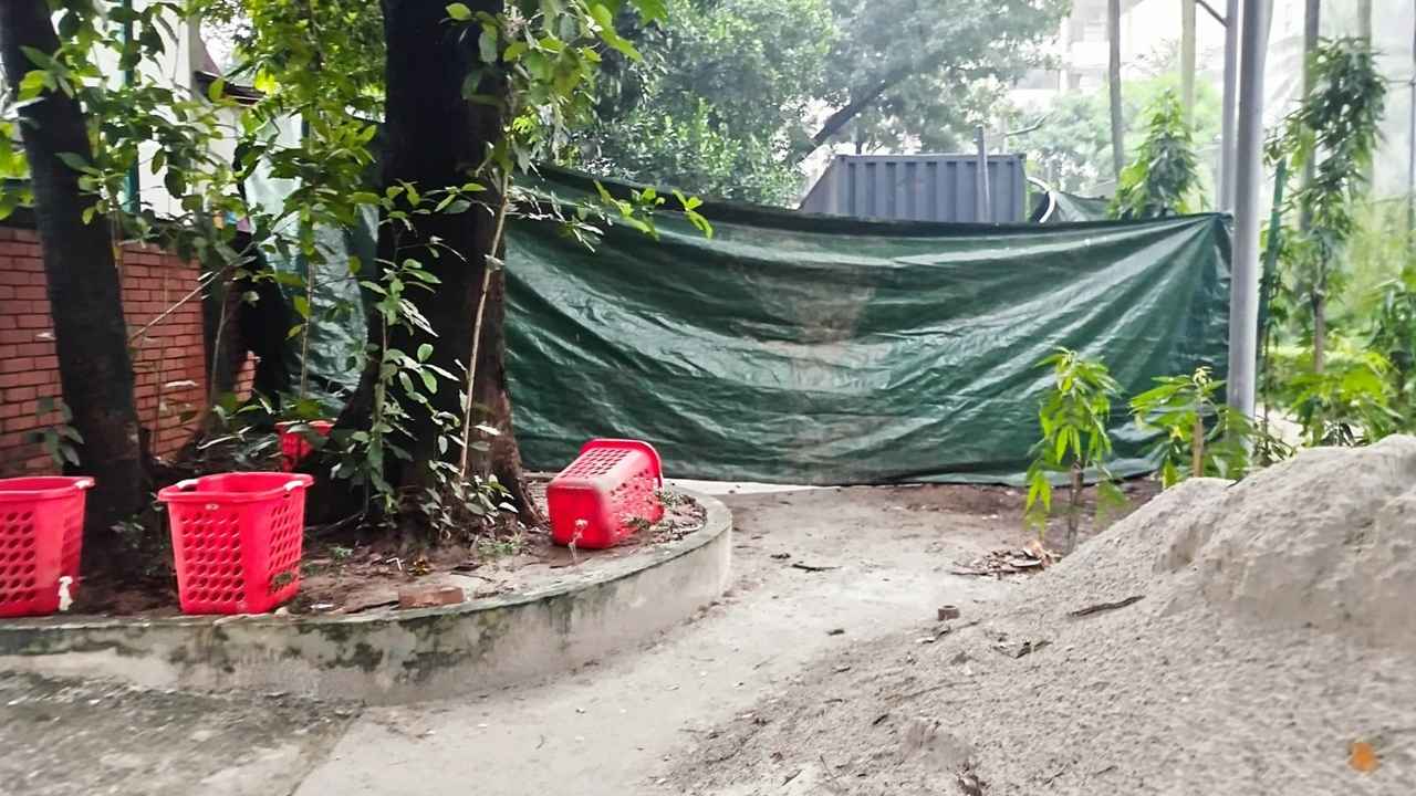 আদালতের নির্দেশনা বাস্তবায়ন ও পার্ক দখলমুক্ত করার দাবি