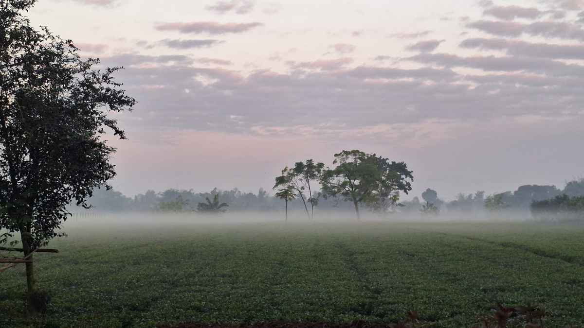 পঞ্চগড়ে বেড়েছে শীতের তীব্রতা, তাপমাত্রা ১৩.৪ ডিগ্রি সেলসিয়াস