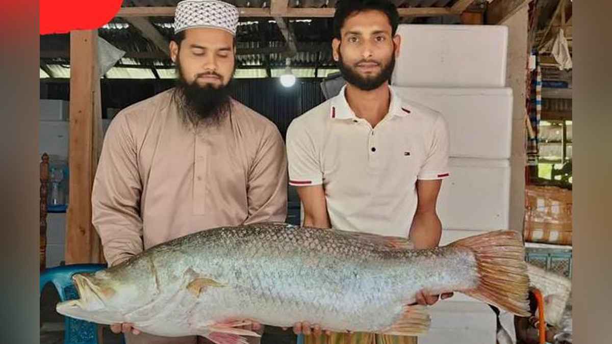 জেলের জালে ধরা ১৯ কেজি ওজনের বিশাল কোরাল