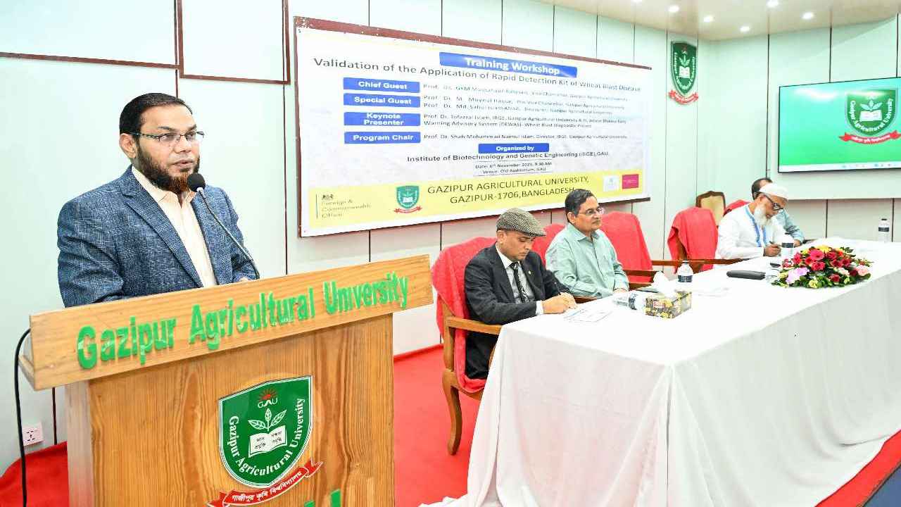 ৩০ মিনিটে মাঠেই গম ব্লাস্ট শনাক্ত করা যাবে