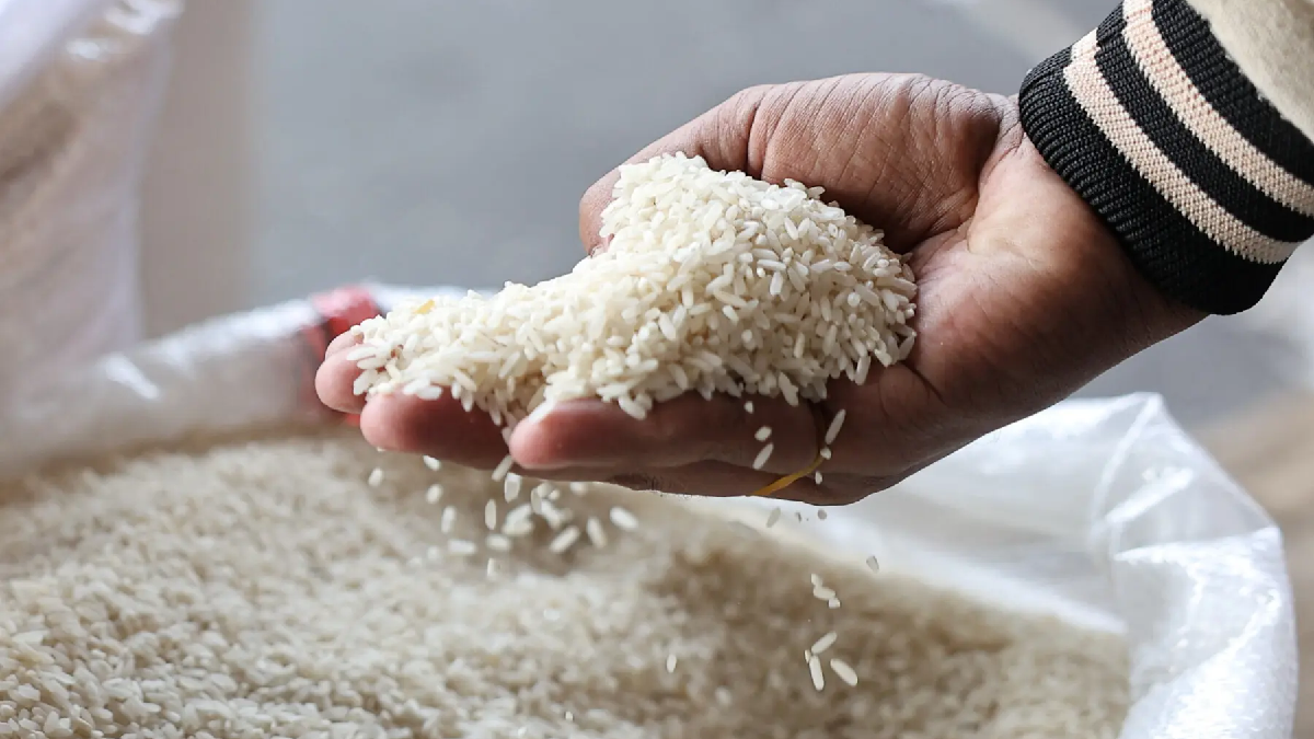 পাকিস্তানের কাছ থেকে ১ লাখ টন চাল কিনছে বাংলাদেশ 