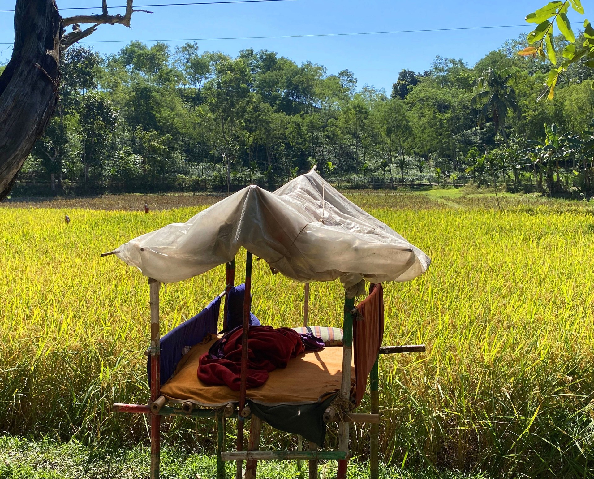 thumbnail_1000175331