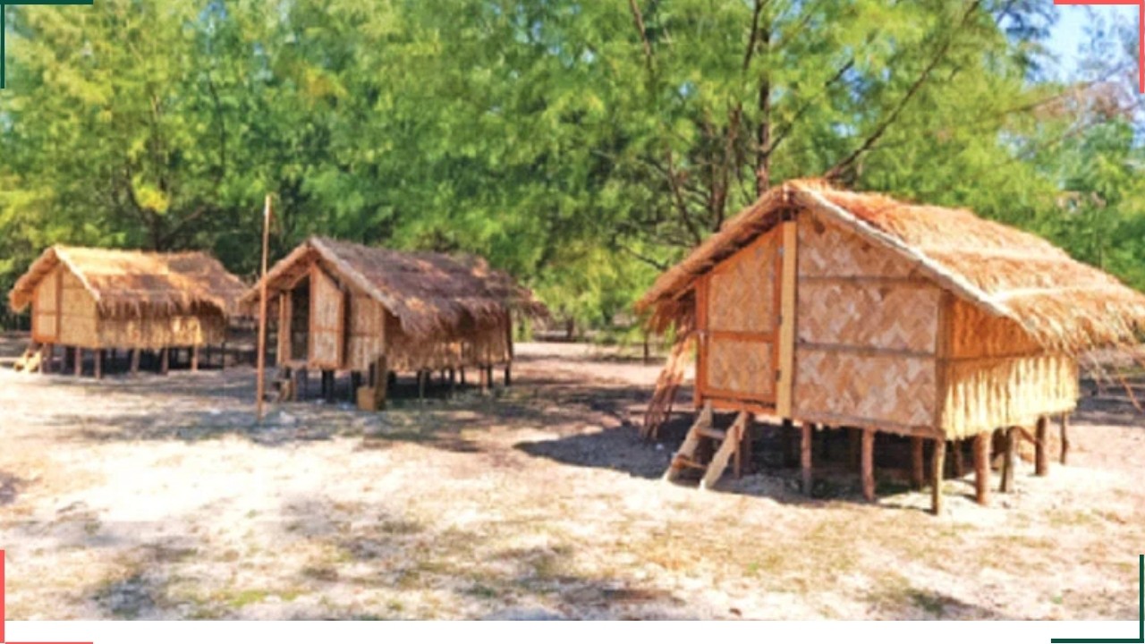 thumbnail_1000245993