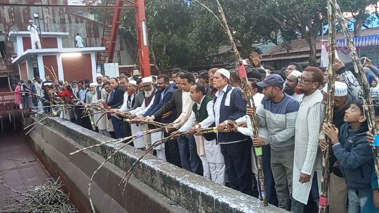 নাটোর চিনিকলে আখ মাড়াই শুরু, উৎপাদন লক্ষ্যমাত্রা ৭ হাজার মে. টন