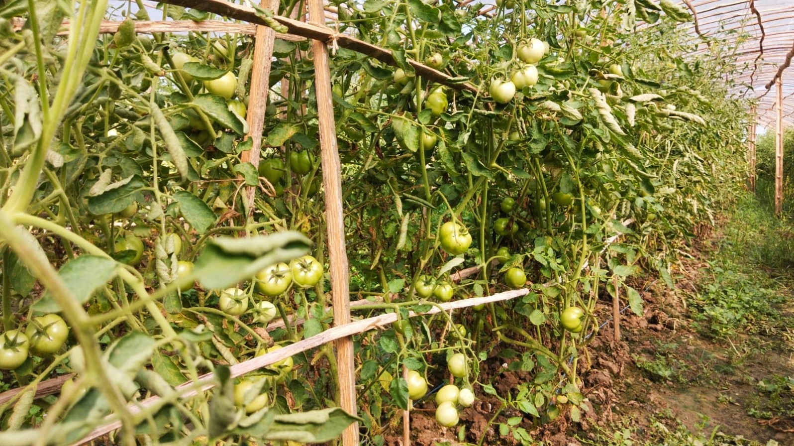 thumbnail_IMG_20251103_101453