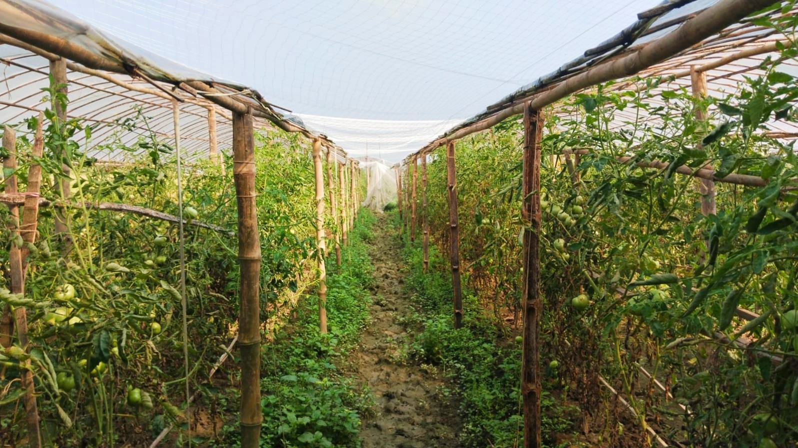 thumbnail_IMG_20251103_101500